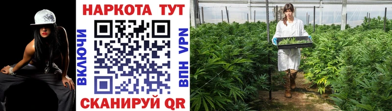 Как найти закладки Новодвинск МАРИХУАНА  A-PVP  ГАШИШ  Codein  Мефедрон 