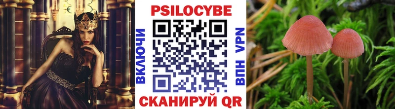 Псилоцибиновые грибы Psilocybe  купить закладку  Новодвинск 